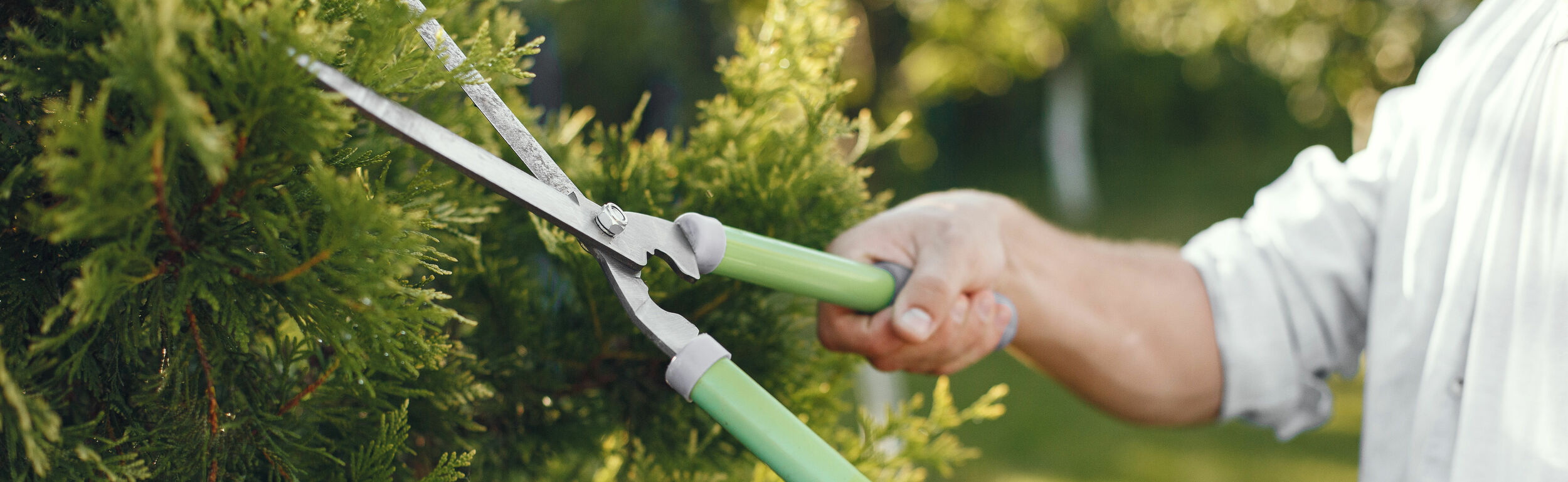 Aanbiedingen Tuin Bron Winkel -Aanbiedingen Tuin Bron Winkel 222